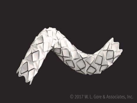 Gore secures FDA approval for VBX stent graft use in iliac artery