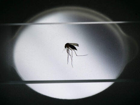 Zika detection test taps smartphone technology