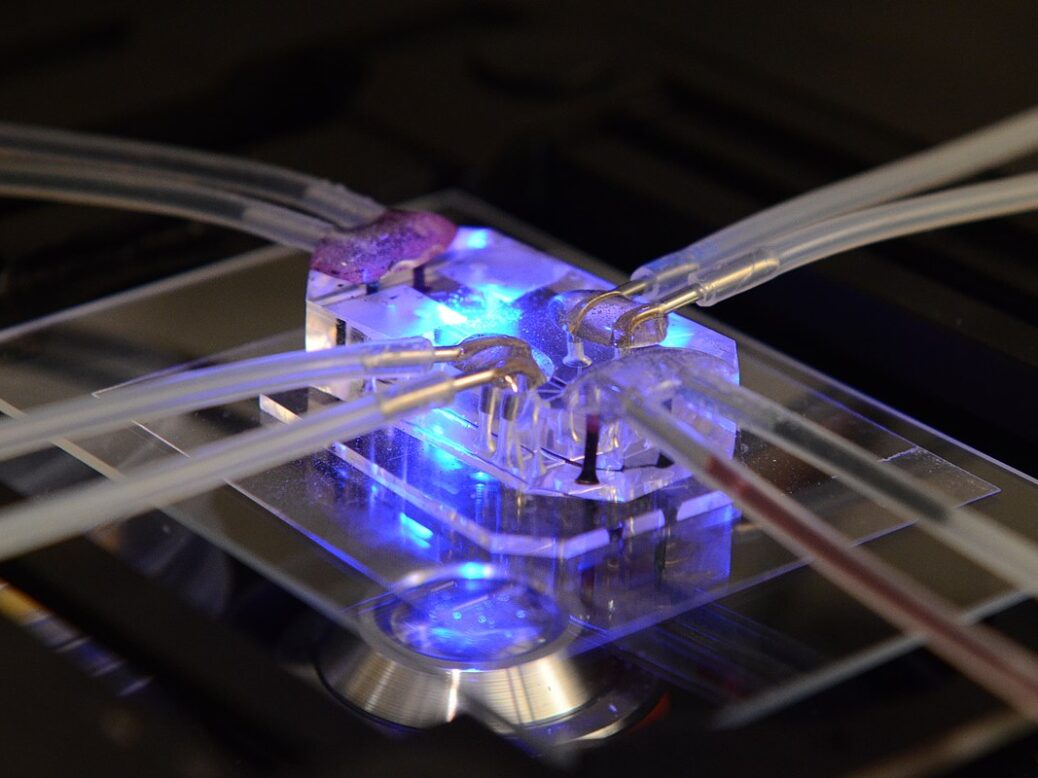 organs-on-a-chip