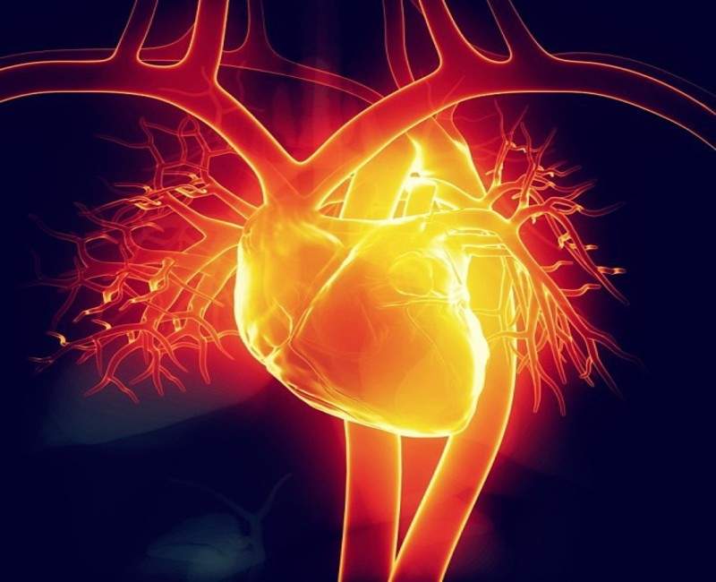 Bay Labs AI-based heart disease detection study