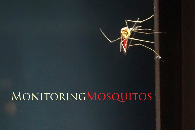 Mosquito monitoring apps