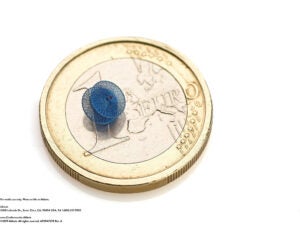 Amplatzer Piccolo Occluder