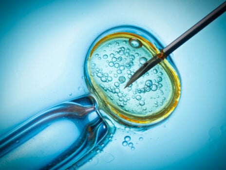 Frozen embryo transfers fail to boost IVF success in large trial