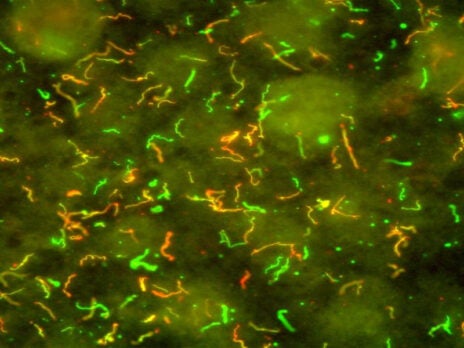 Zeus Scientific Lyme disease assays secure clearance in US