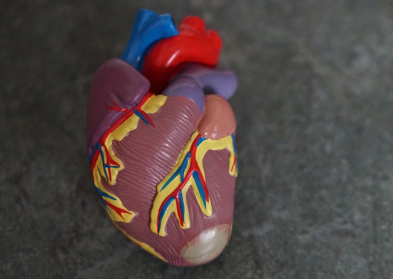 FDA extends alliance with Dassault Systèmes for 3D heart model
