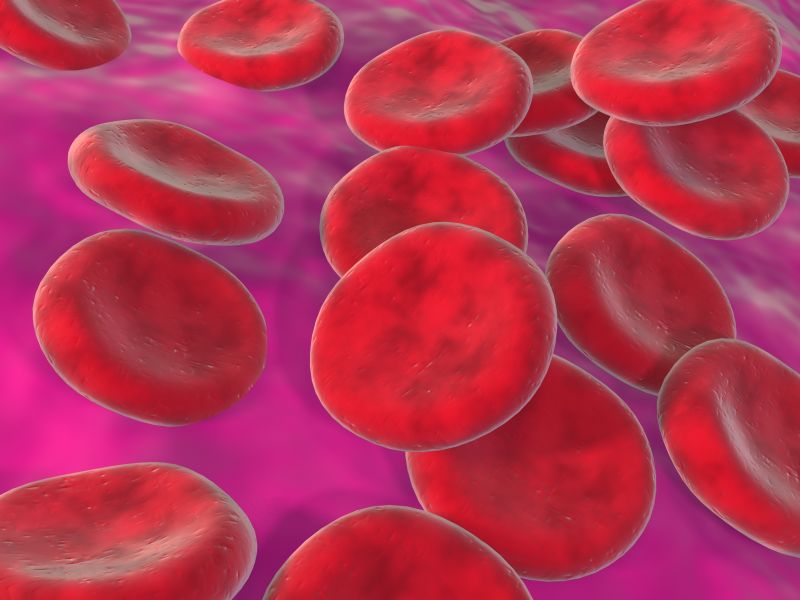 Roche secures US approval for test to detect Babesia infection