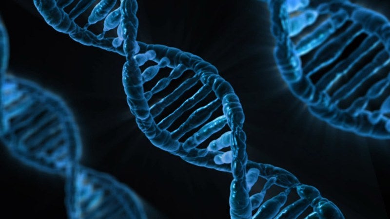Biocartis introduces new Idylla assay for gene fusion testing