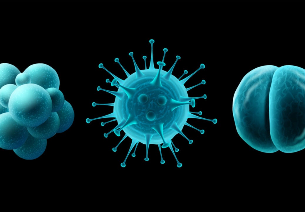 memed bacteria virus test