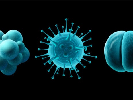 US approves MeMed test to distinguish bacterial from viral infections