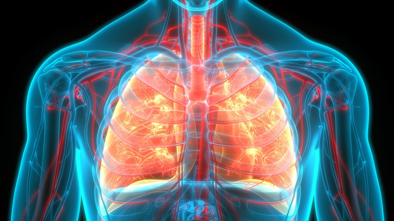 The air that we breathe: Detecting lung cancer through breath technology​