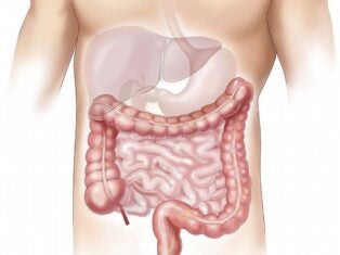 Mainz and Dante Labs partner to commercialise colon cancer detection test