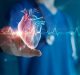 The innovations and trends offering hope in the cardiovascular market