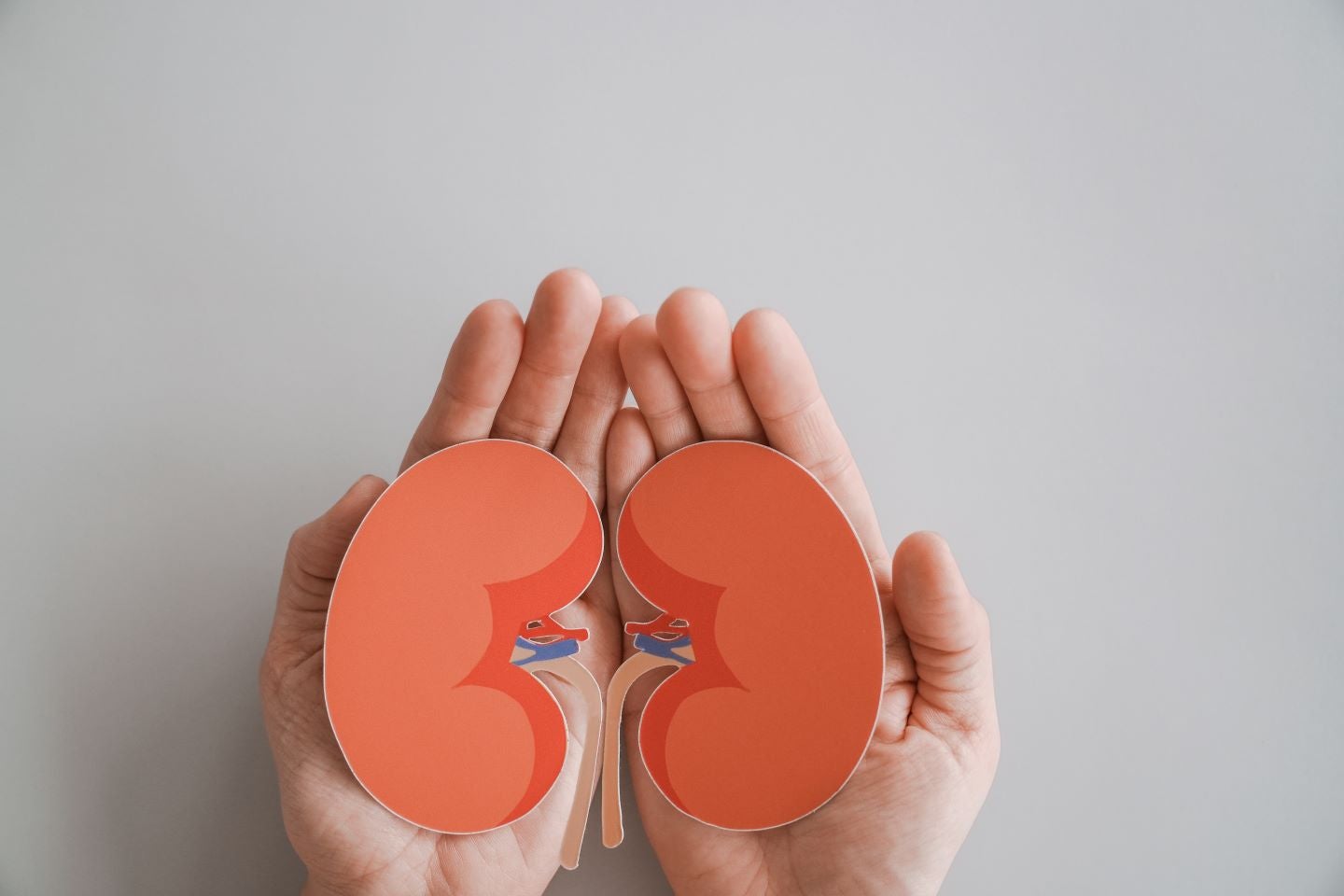 Kidney care: the economics of innovation