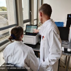 cervical cancer screening