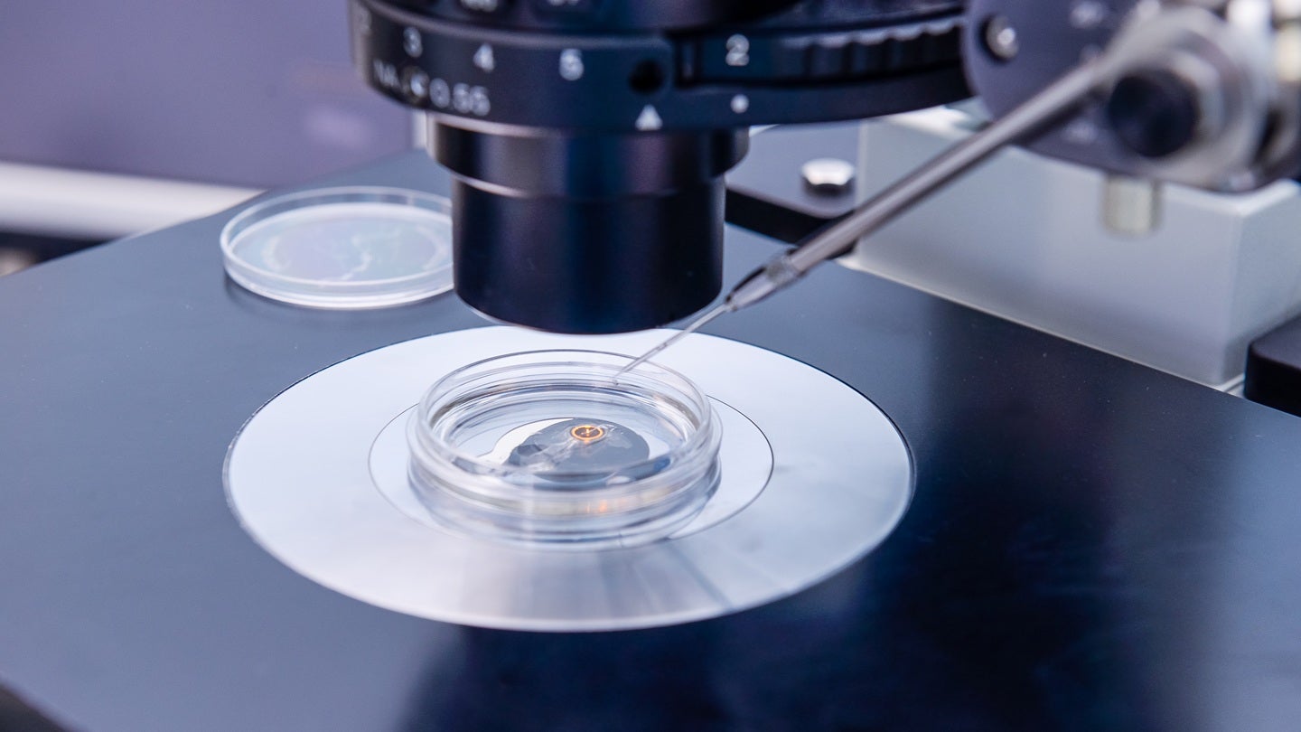 Memphasys and Monash IVF sign national supply deal for Felix system