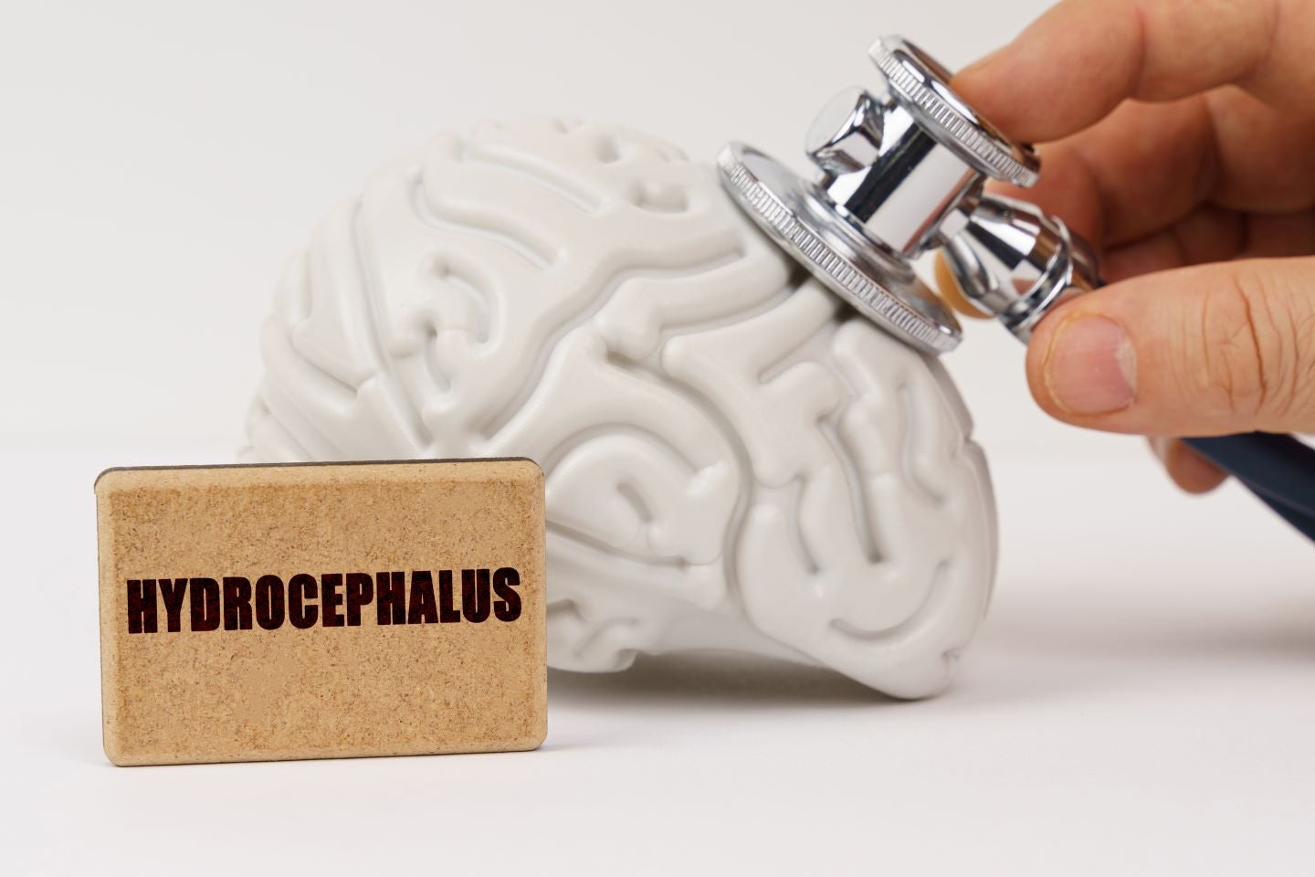 CereVasc raises $85m to advance hydrocephalus treatment