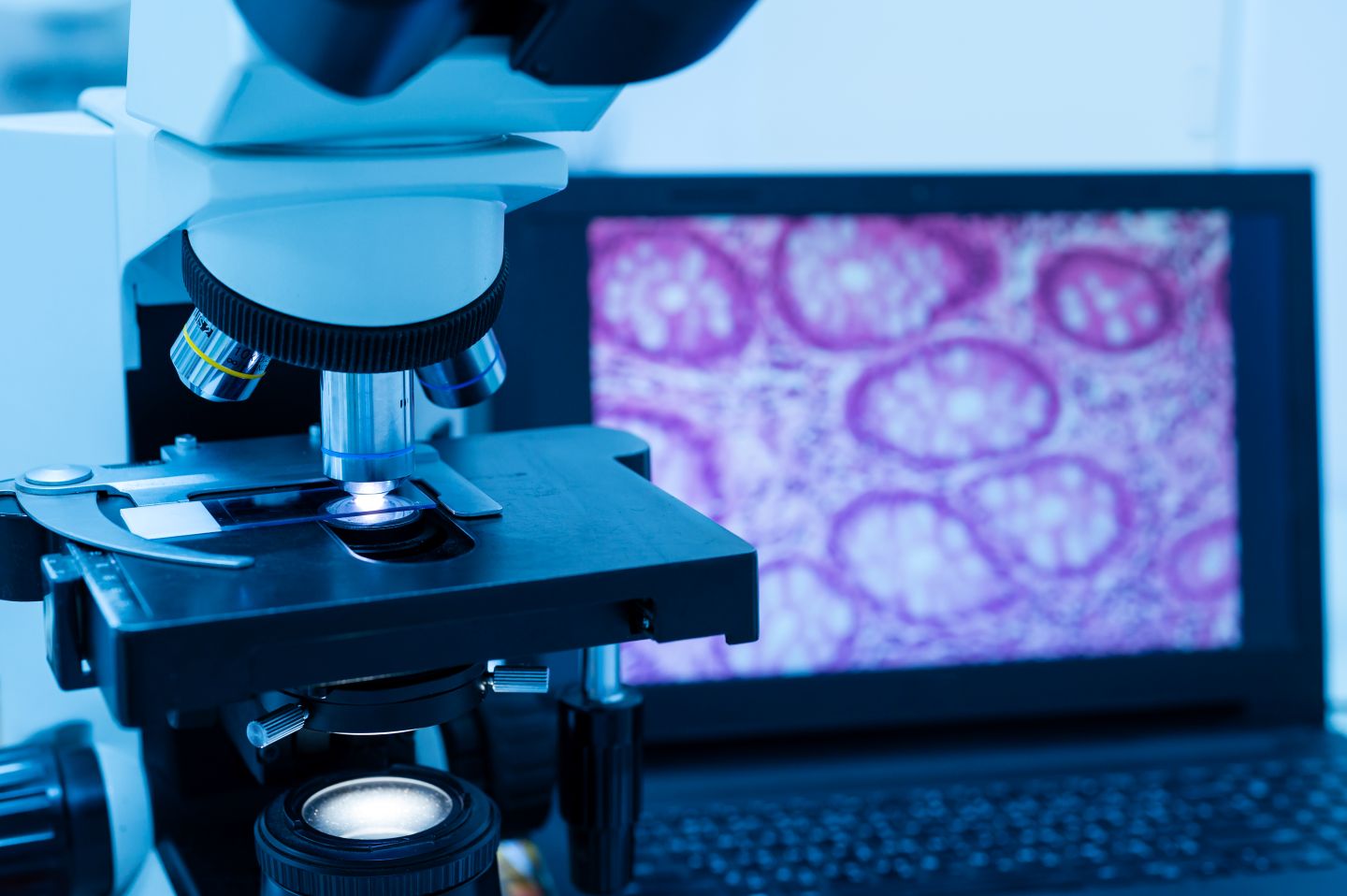 Agilent acquires Proscia in deal worth up to $270m