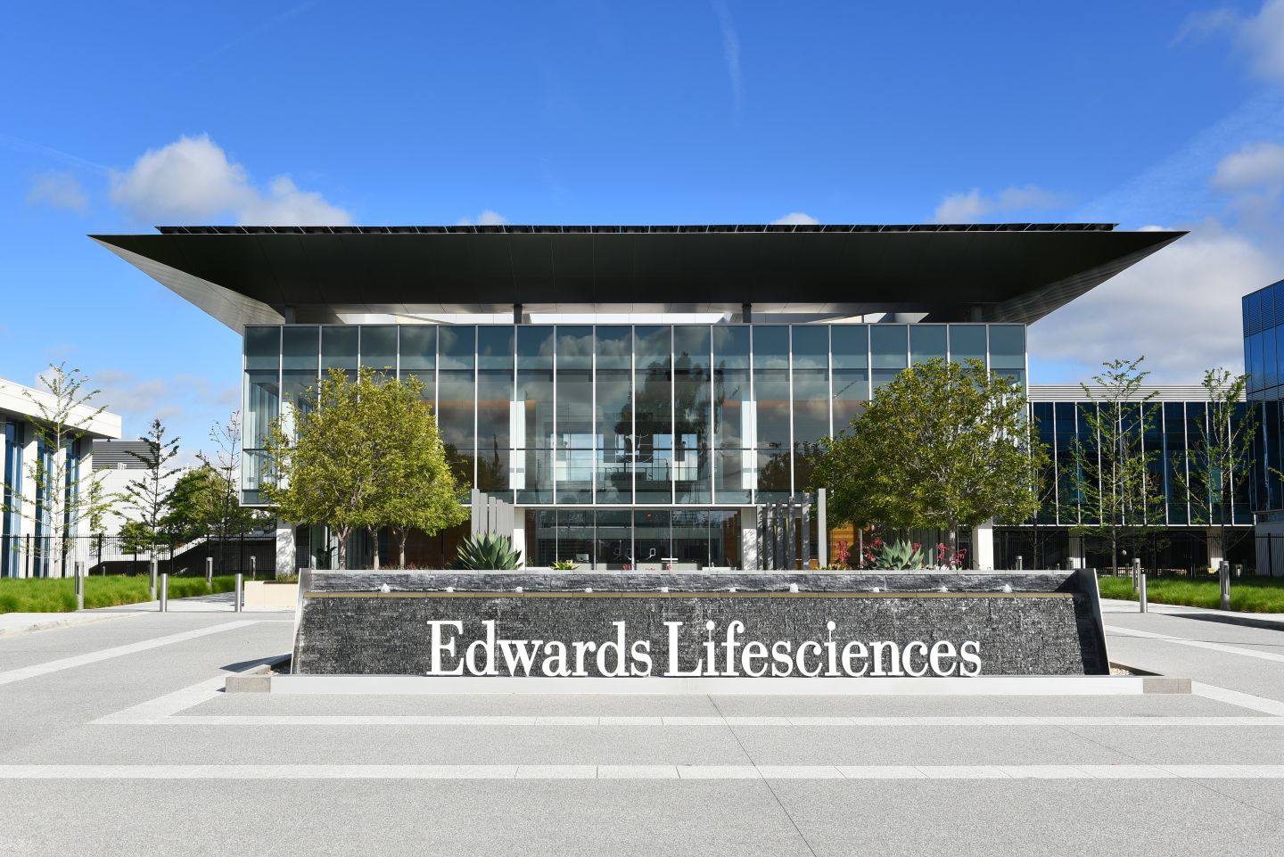FDA greenlights Edwards’ expandable pulmonary valve for paediatric patients